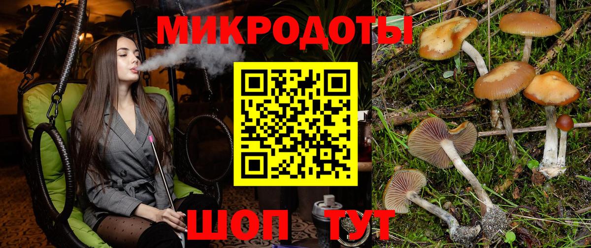 Аргун  Галлюциногенные грибы GOLDEN TEACHER  Вход с VPN 