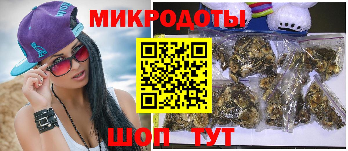 Псилоцибиновые грибы мухоморы Аргун